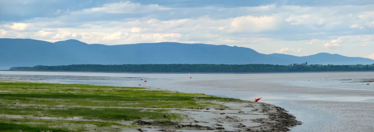 Île aux Grues