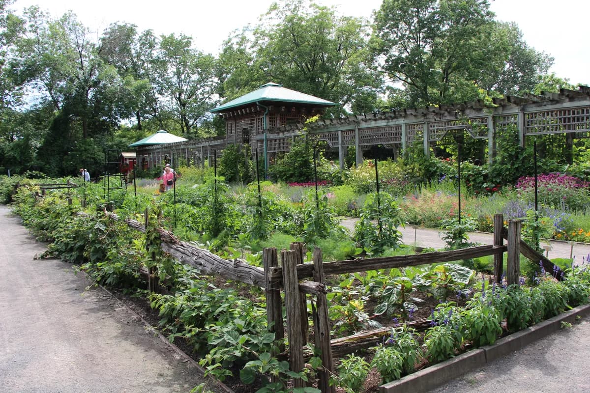 Jardin botanique de Montréal