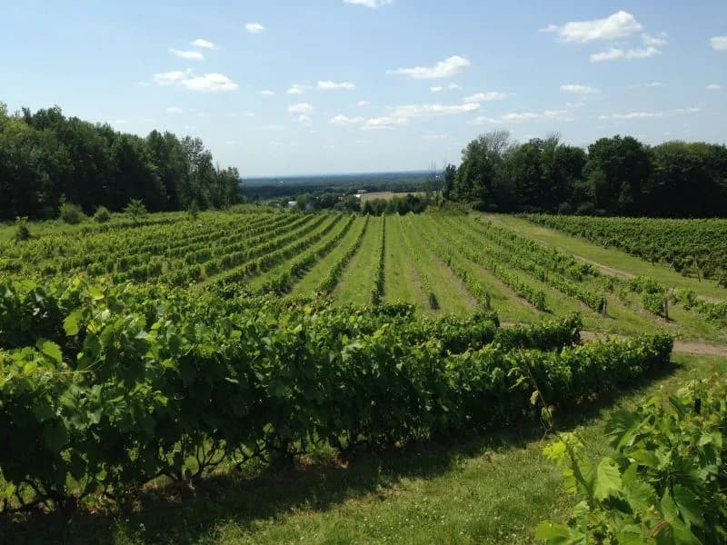 La Route des vins du Québec