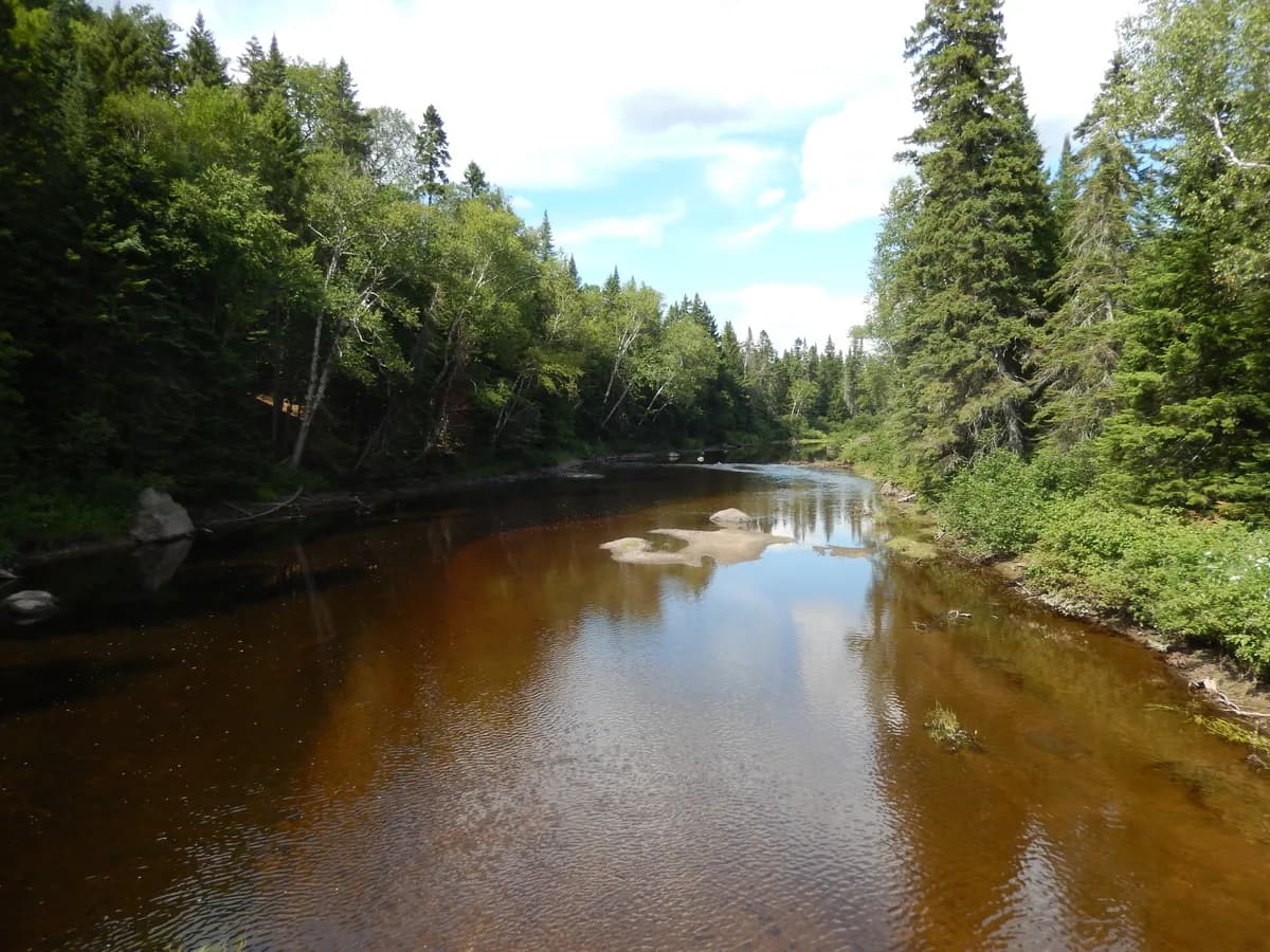 Parc des Appalaches