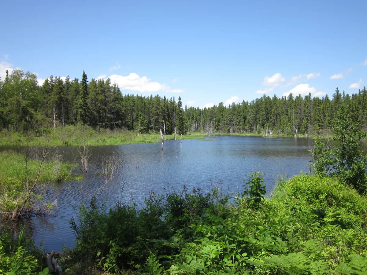Parc national de la Pointe-Taillon