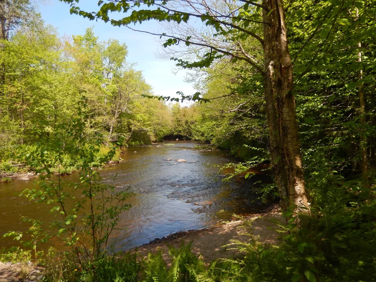 Parc régional des Grandes Coulées