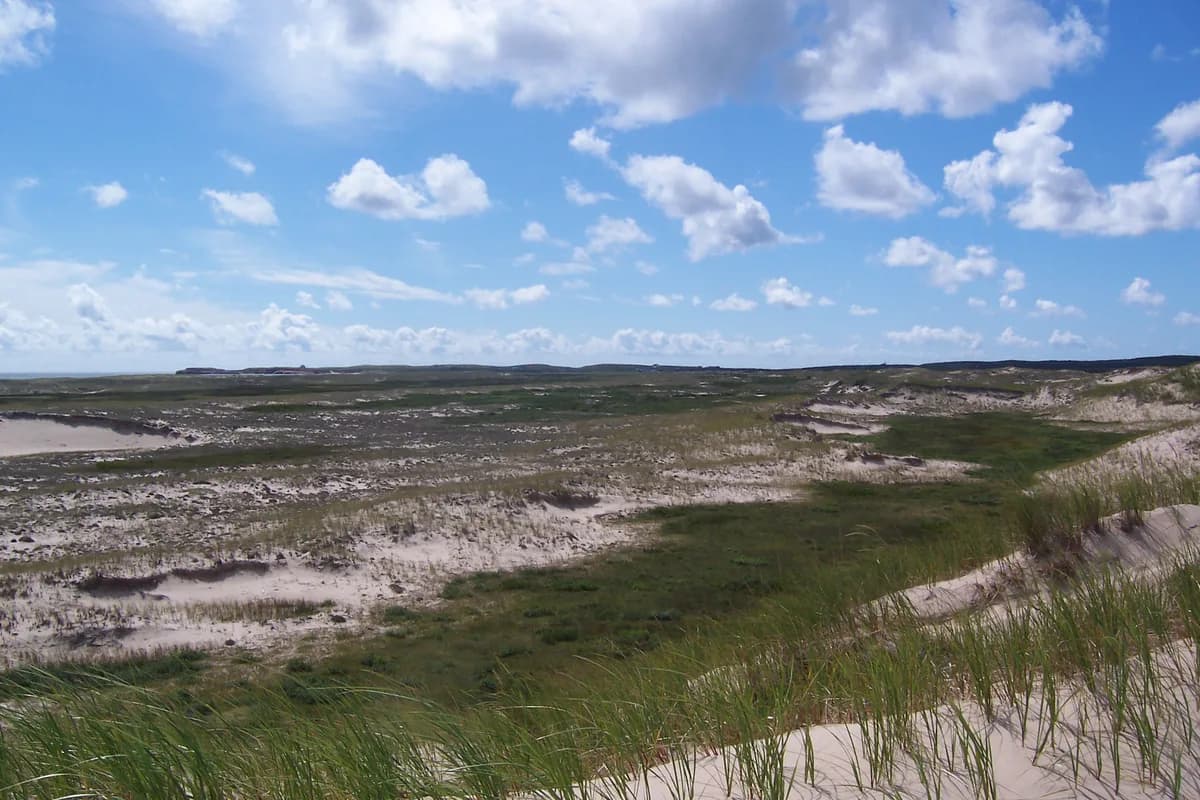 Réserve nationale de faune de la Pointe-de-l'Est