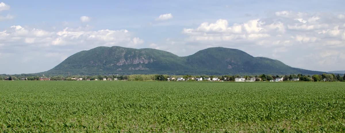 Réserve naturelle Gault (mont Saint-Hilaire)