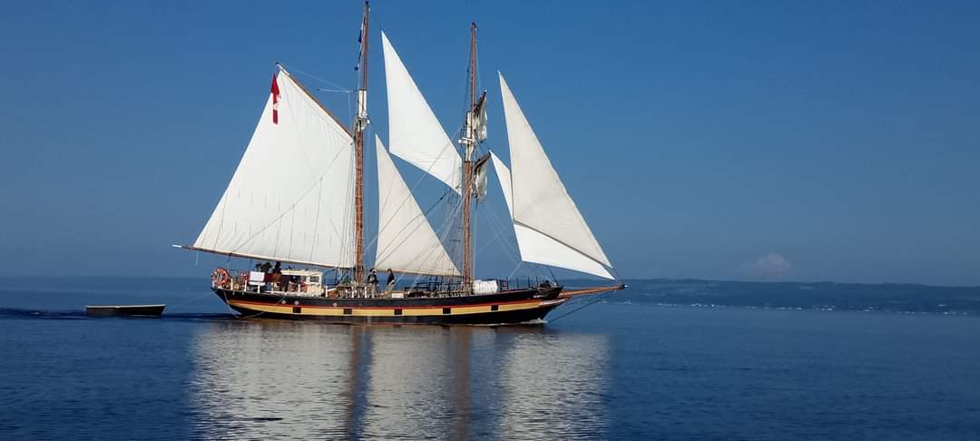 Marina de Tadoussac