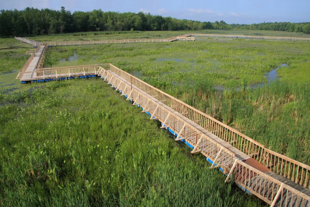 Parc national de Plaisance