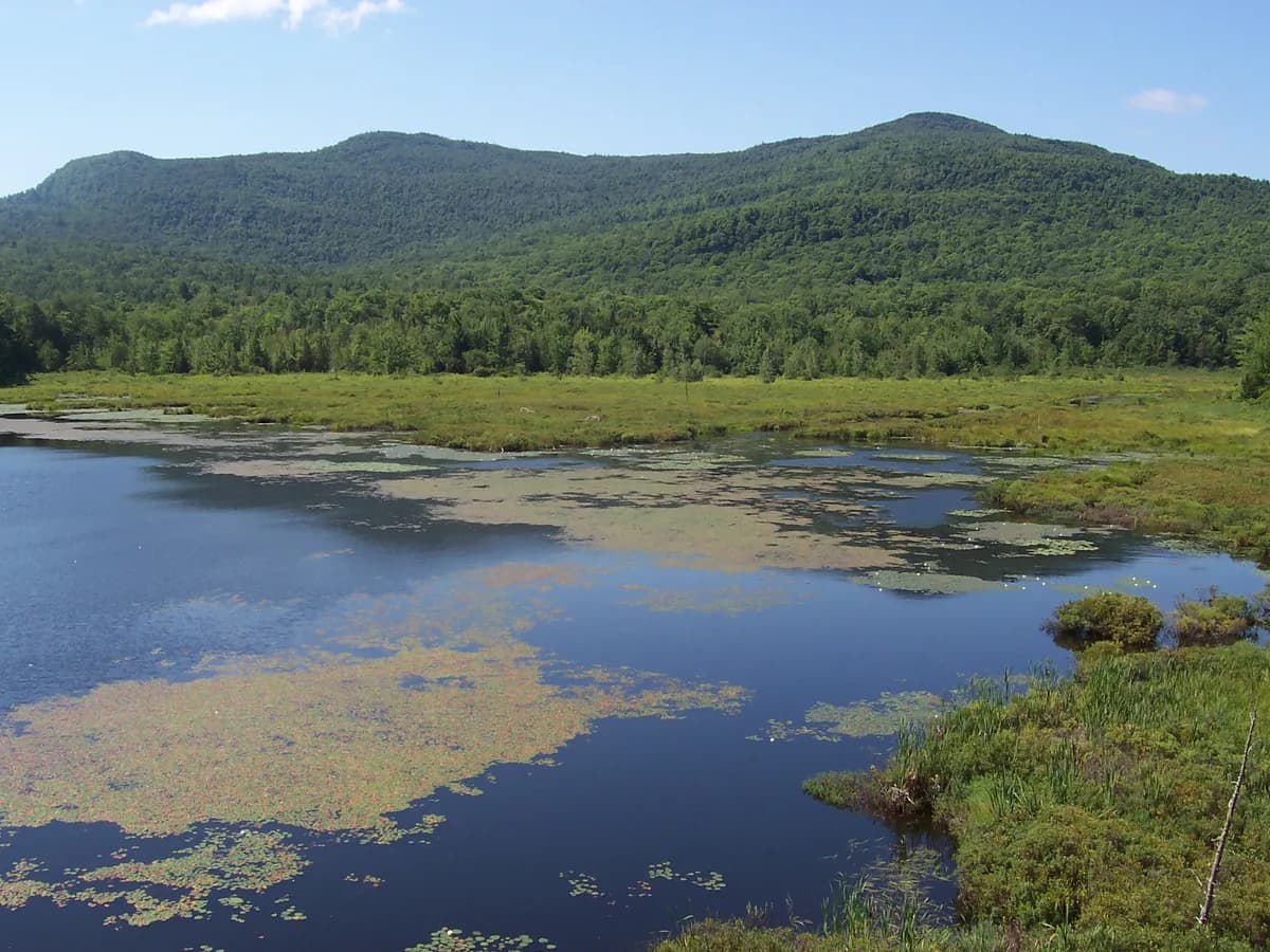 Parc national du Mont-Orford