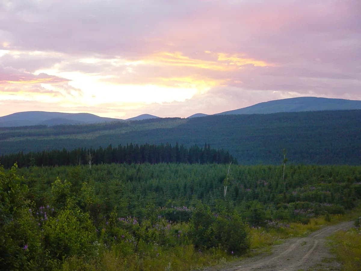 Réserve faunique de Matane et observation du saumon